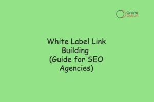 A image with written white label link building guide for SEO agencies on it